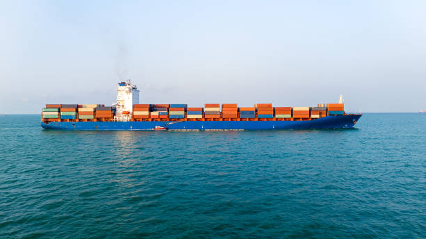 istockphoto-2165960809-612x612.jpg