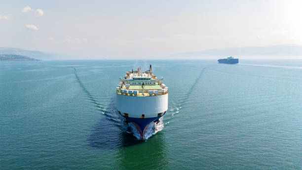 shipping agent freight forwarding.jpg